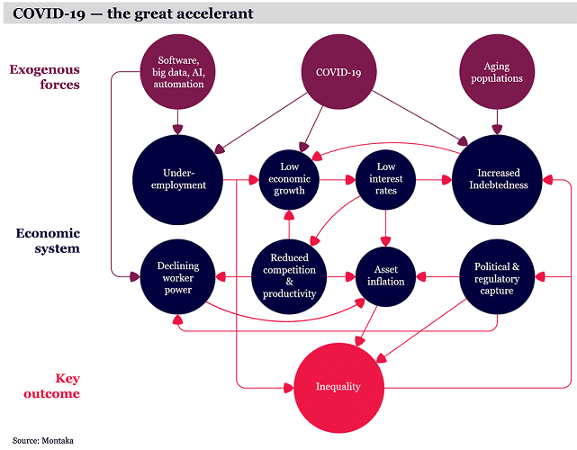 Covid19 the great accelerant of inequality