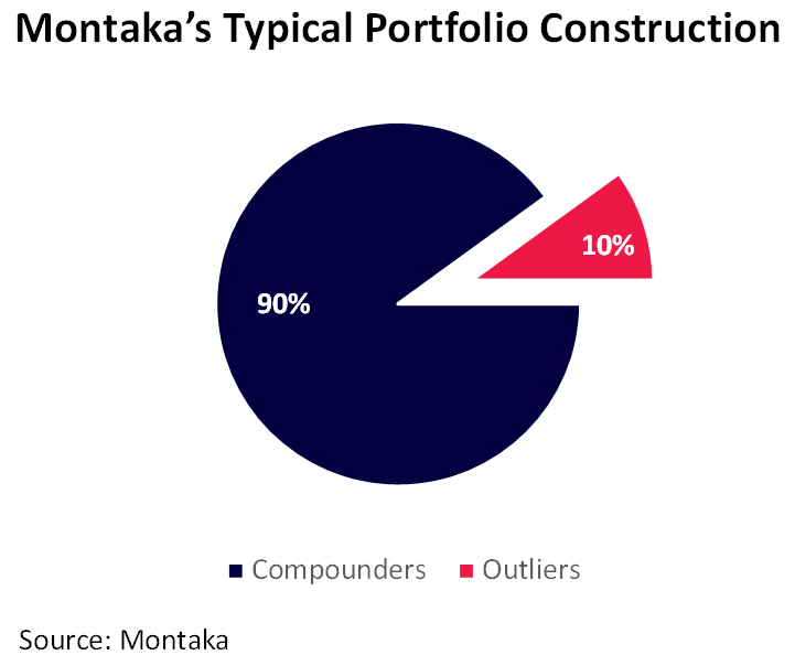 Montaka's Typical Portfolio Construction