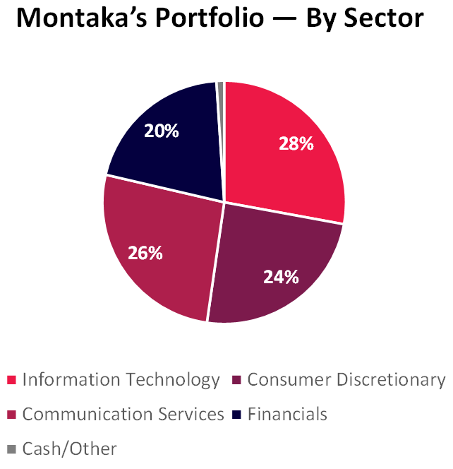 Montaka Portfolio by sector