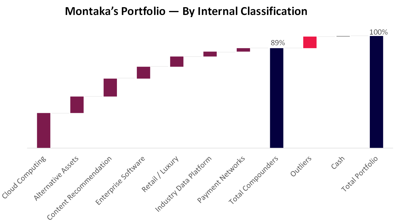 Montaka's Portfolio by internal classification